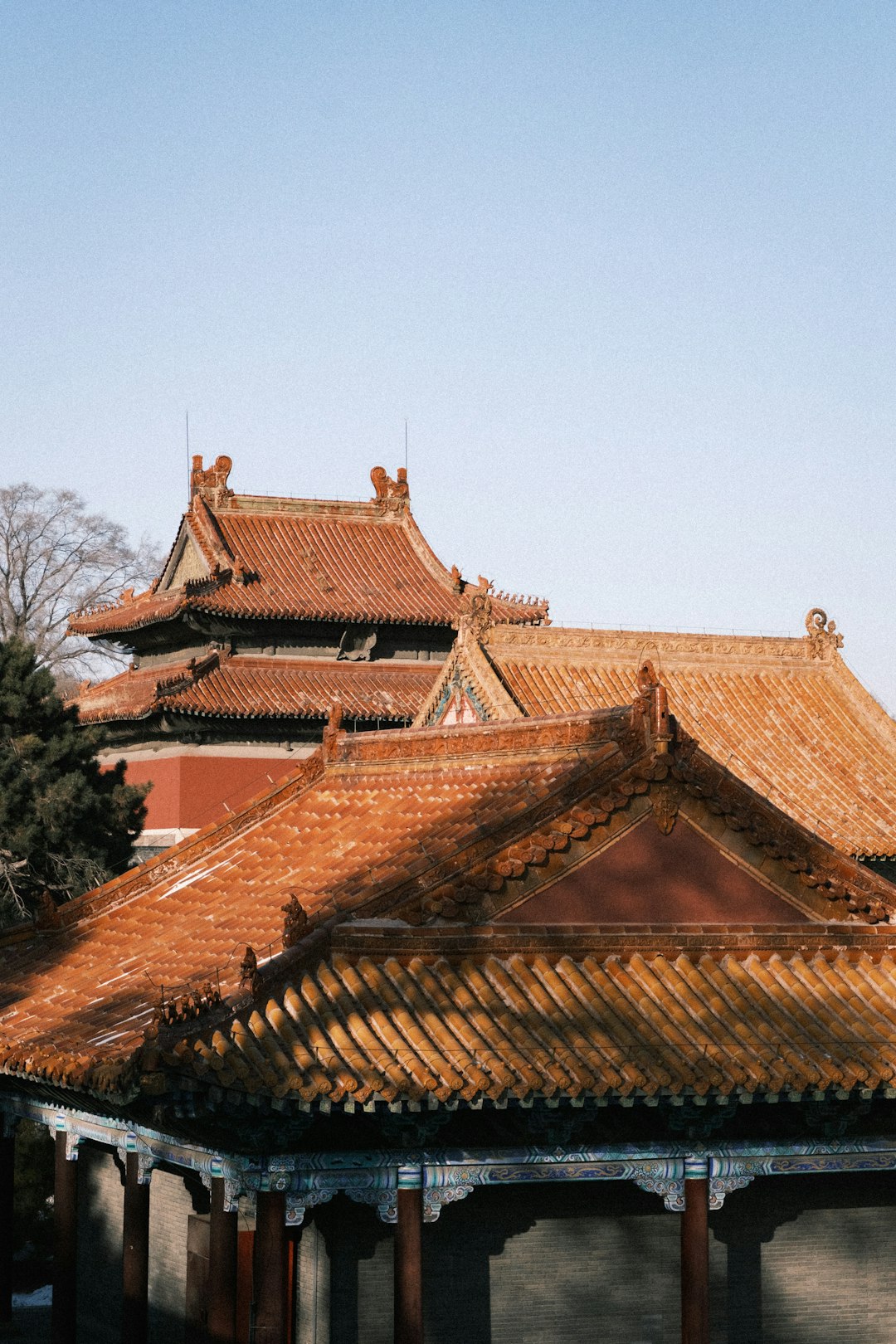 Cedar Roof Maintenance Guide: Expert Tips for Longevity & Protection