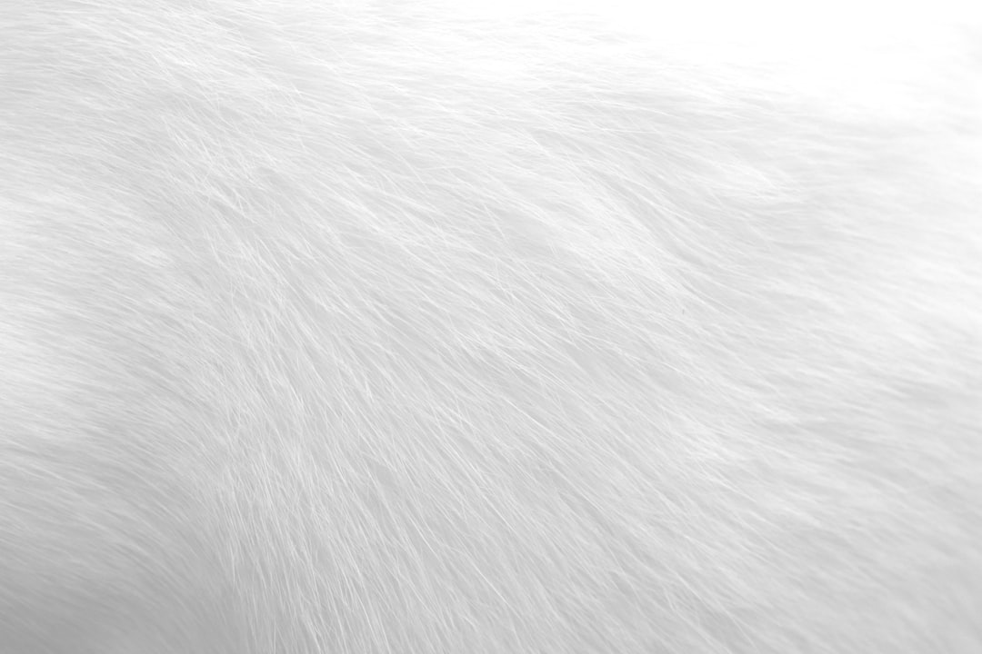 Cheap All Inclusive Vacations: Budget-Friendly Getaways & Deals