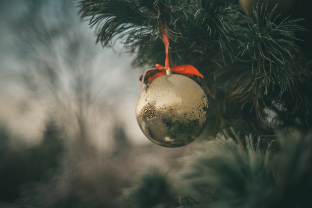 Chevy Chase Christmas Vacation: Ultimate Guide to Holiday Fun & Family Traditions