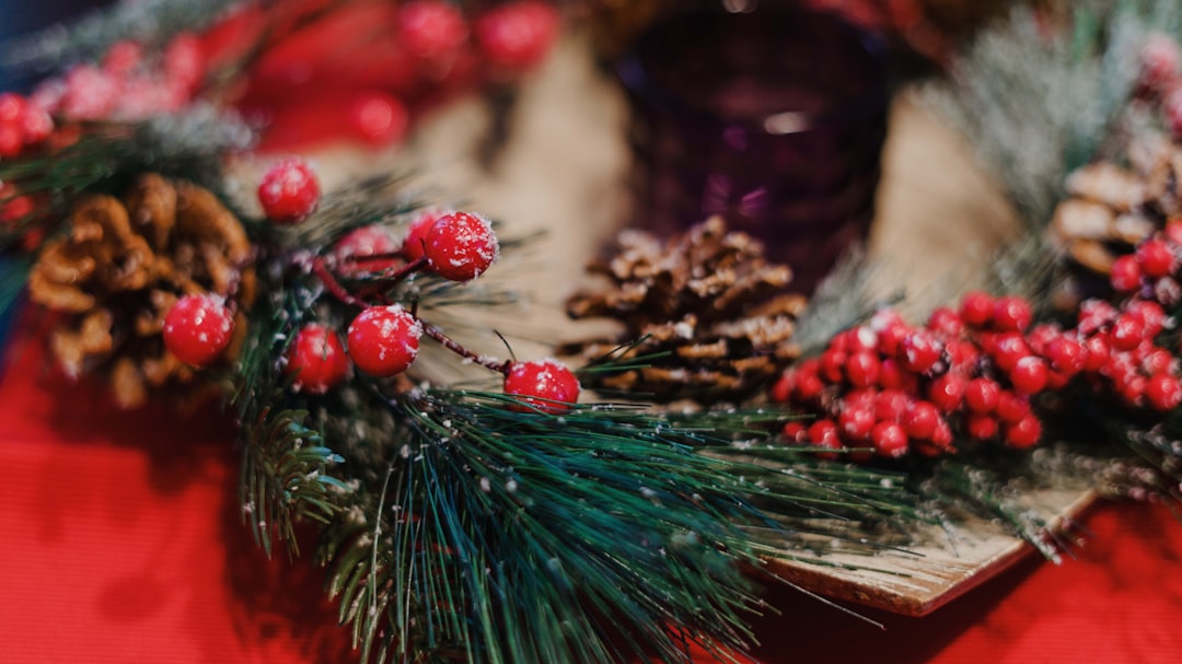 Christmas Family Vacation Magic: Planning Your Perfect Holiday Getaway