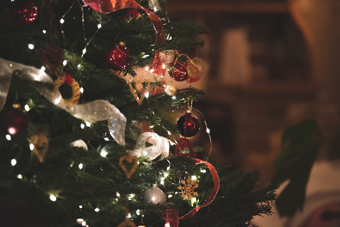 Christmas Vacation Advent Calendar: Creative Countdown Ideas & Family Traditions