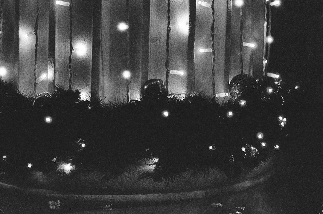 Christmas Vacation Cast: Iconic Actors & Behind-the-Scenes Stories