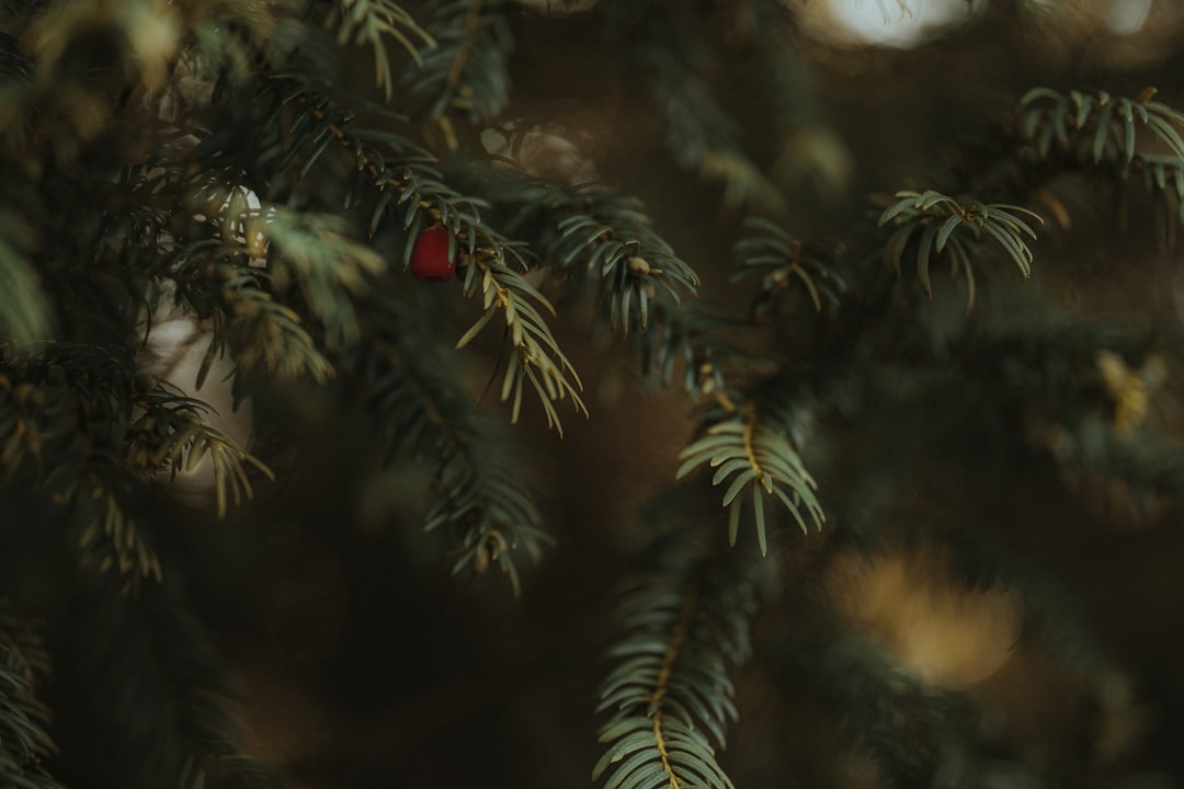 Christmas Vacation Eddie Costume: Ultimate Guide & DIY Tips