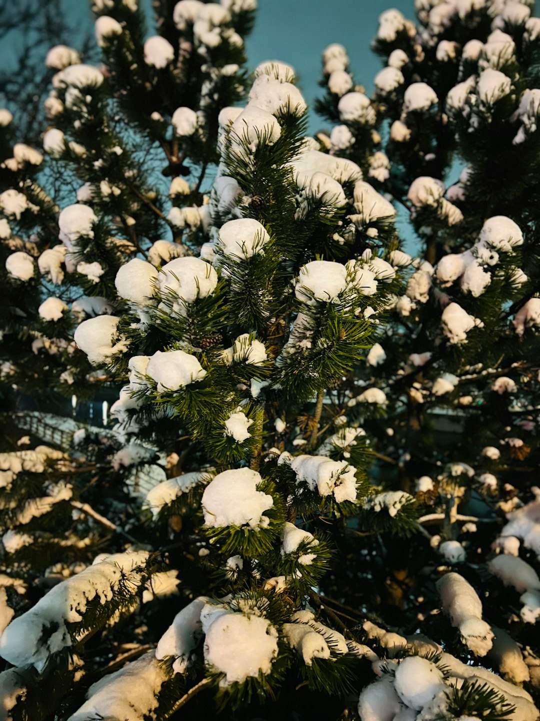 Christmas Vacation Griswold Jersey: Ultimate Guide & Fun Family Ideas