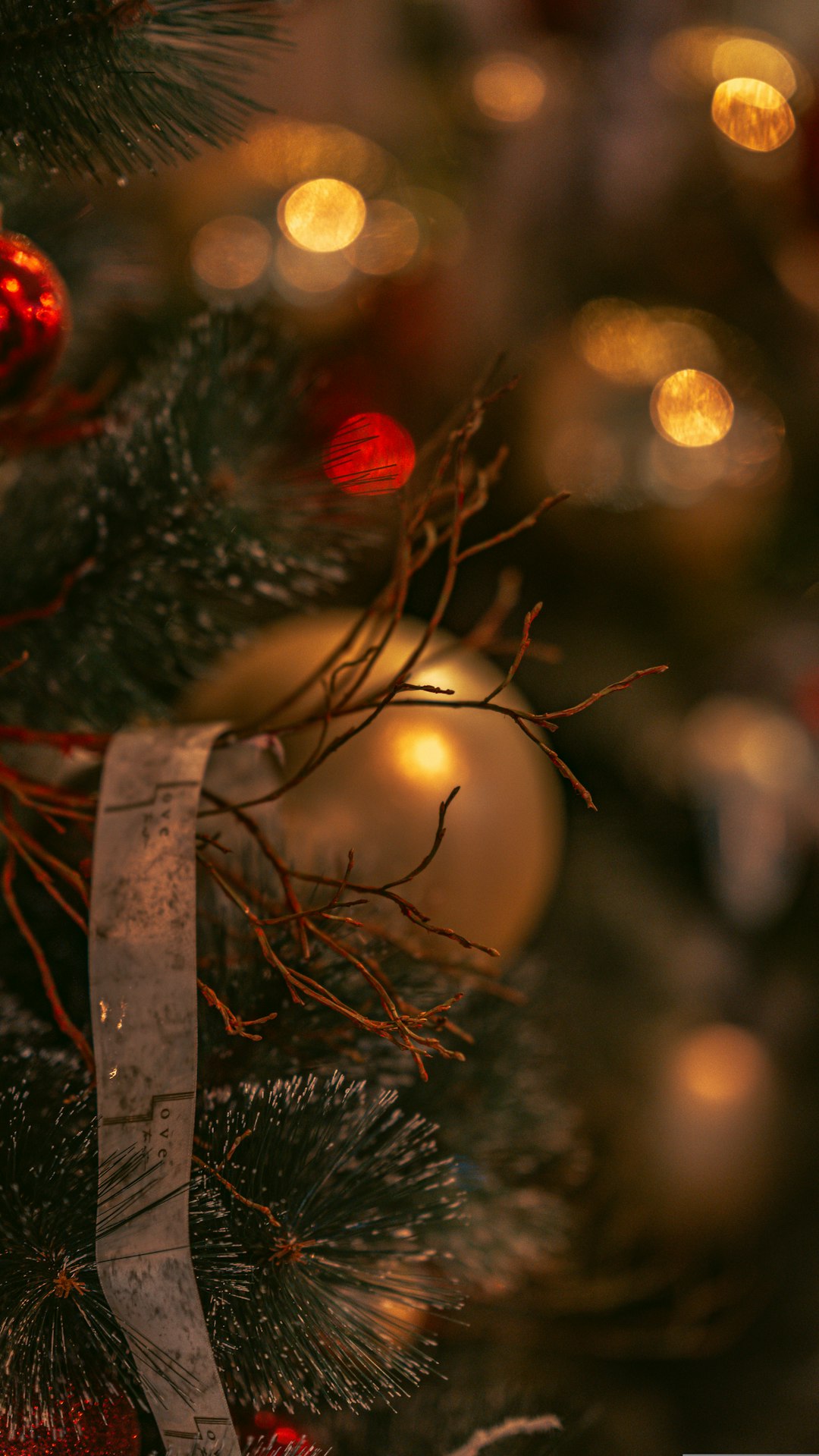 Christmas Vacation Movie Quotes: Hilarious Lines & Family Fun