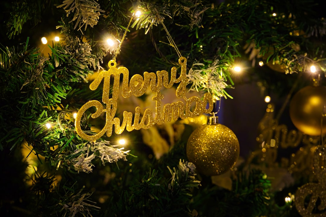 Christmas Vacation Quotes: Festive Sayings & Holiday Travel Wisdom