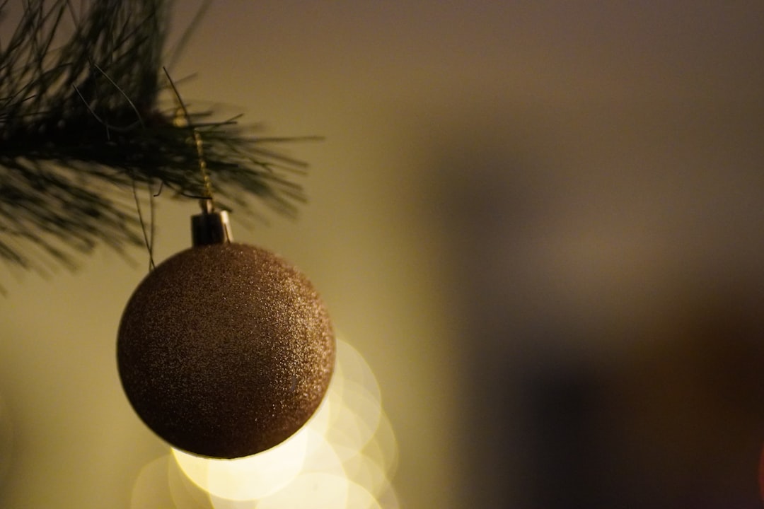 Christmas Vacation Rating Guide: Find Your Perfect Holiday Destination