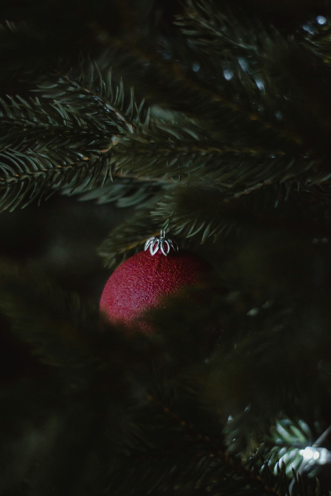 Christmas Vacation RV: Ultimate Guide to Festive Road Trips & Holiday Camping