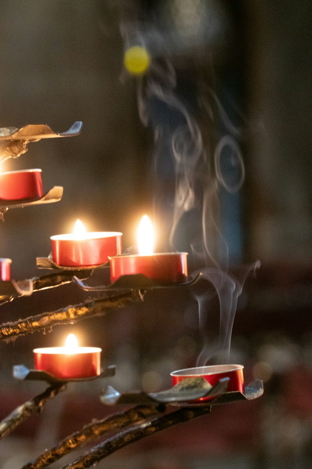 Christmas Vacation Trivia: Fun Facts & Holiday History Secrets