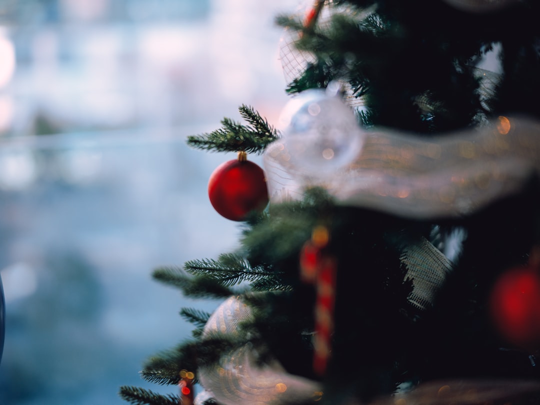 Christmas Vacation: Ultimate Family Travel Guide & Tips