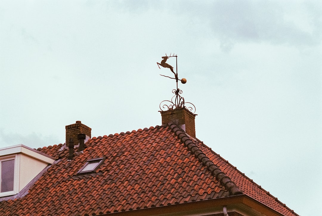 Claiming on House Insurance for Roof Leak: Expert Guide & Tips