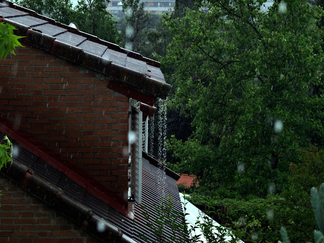 Claiming on House Insurance for Roof Leak: Expert Guide to Storm Damage Claims