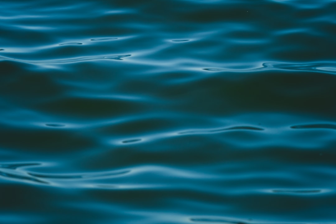 Clearwater Beach Houses Vacation Rentals: Your Ultimate Guide to Florida Paradise