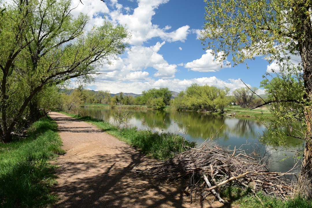 Colorado Family Vacations: Epic Adventures & Mountain Memories