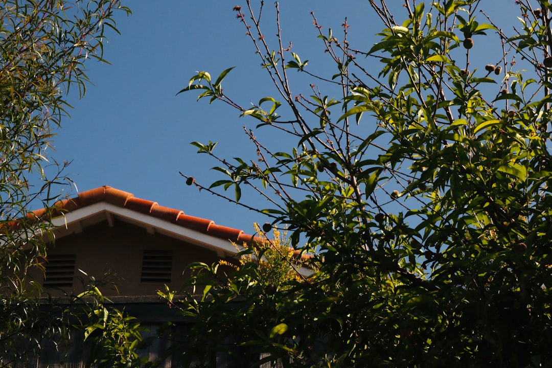 Conservatory Roof on Finance: Affordable Quality Roofing