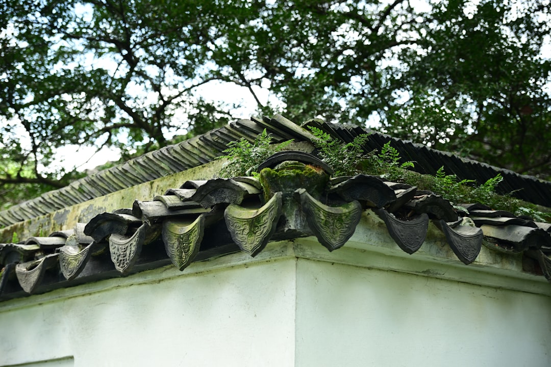 Conservatory Tiled Roof Cost Guide & Installation Tips