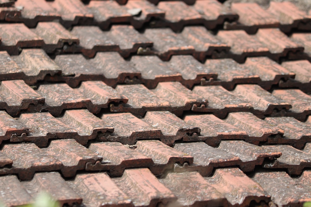 Corrugated Roof Repair Guide: DIY Fixes & Professional Solutions