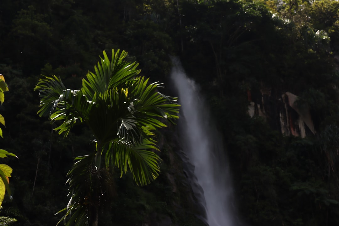 Costa Rica Vacation Packages: Tropical Adventures & Eco-Tours