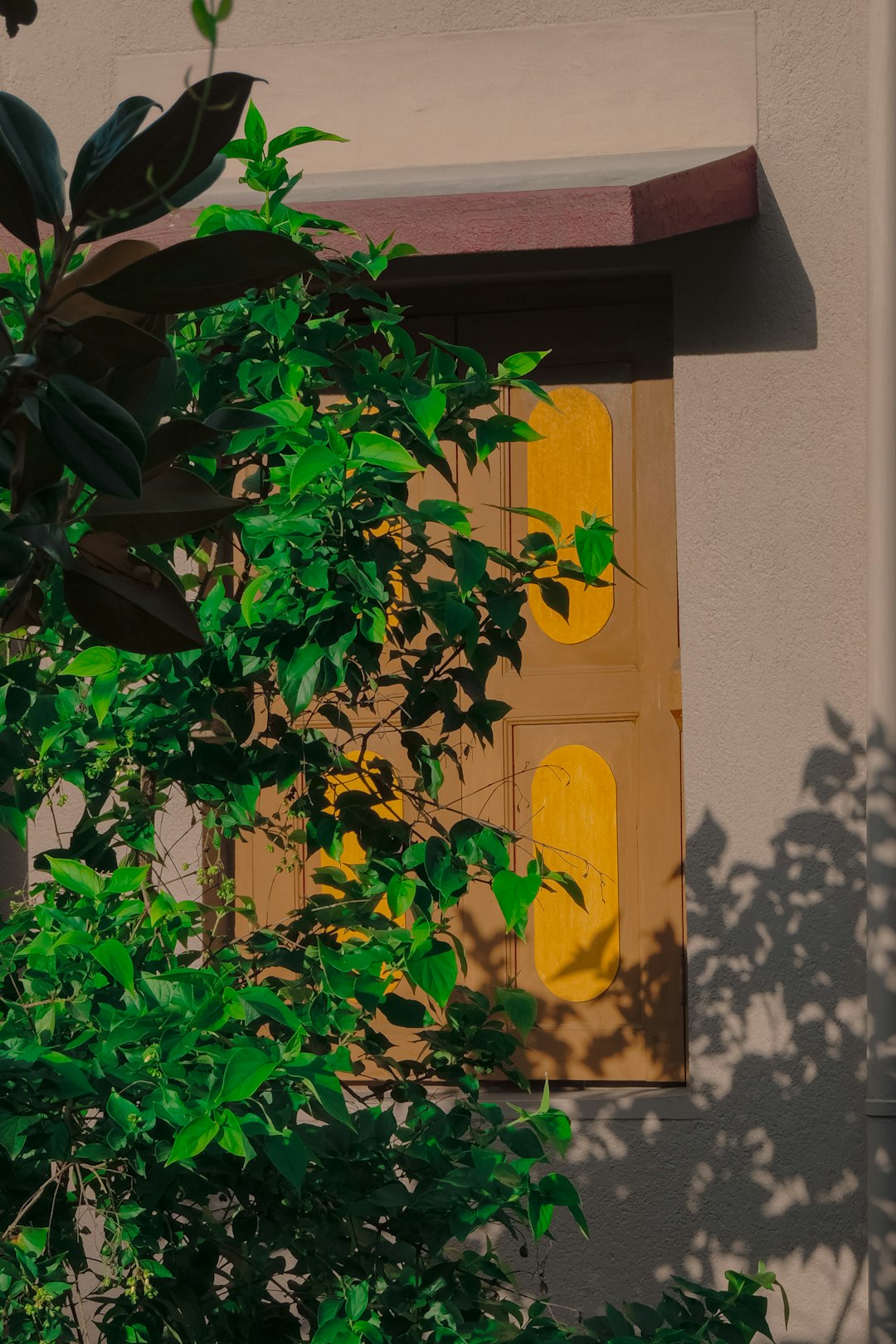 Costco Vacation Packages: Exclusive Deals & Family Travel