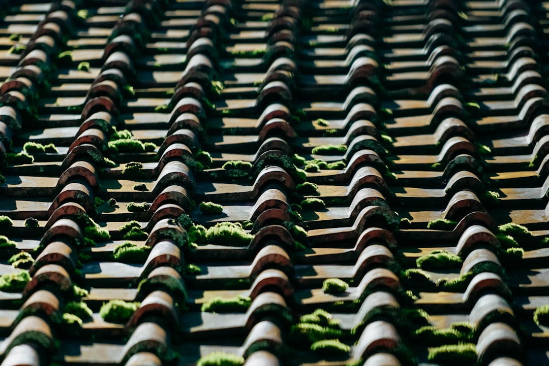 Credit Score Needed for Roof Financing | Roof Loans & Repair Costs