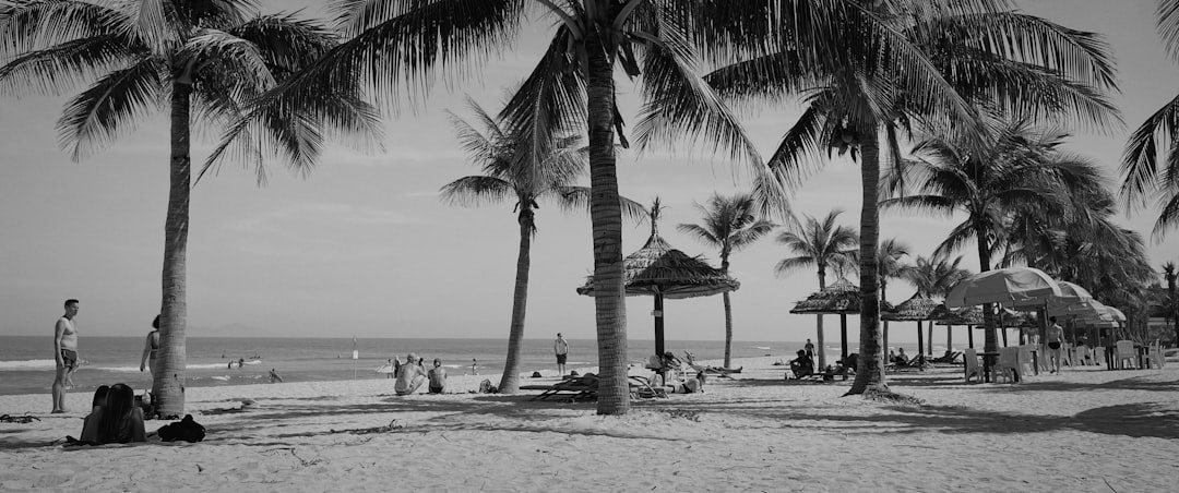 David's Vacation Club Rentals: Your Guide to Timeshare Getaways