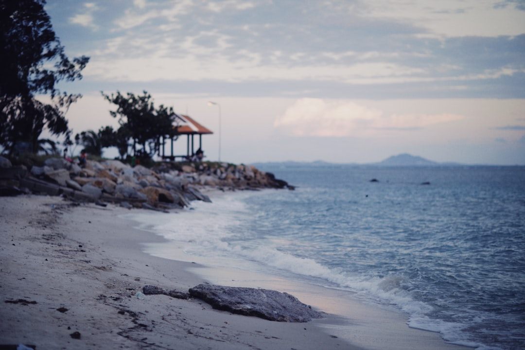 David's Vacation Club: Timeshare Ownership Guide & Travel Benefits