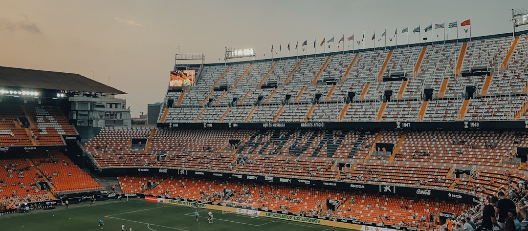Detroit Lions vs Ravens: Ultimate Fan Travel Photo Guide
