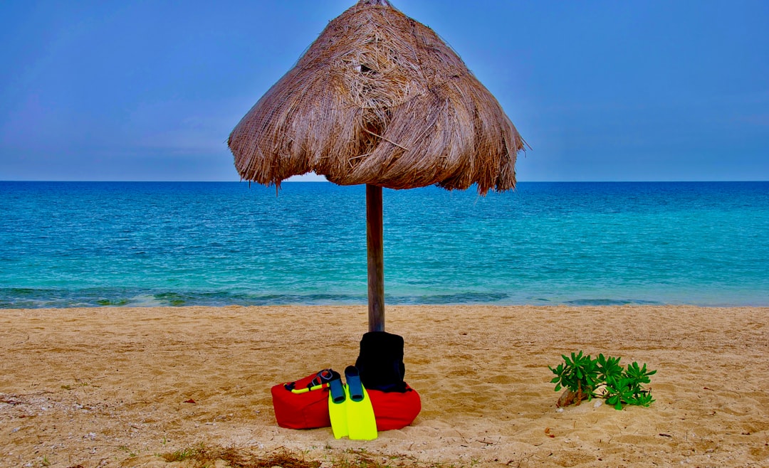 Disney Vacation Club Member Login: Easy Access & Vacation Tips