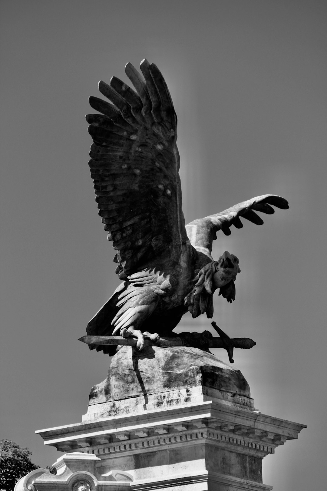 Eagle Creek 55L Backpack: Your Ultimate Travel Companion Revealed