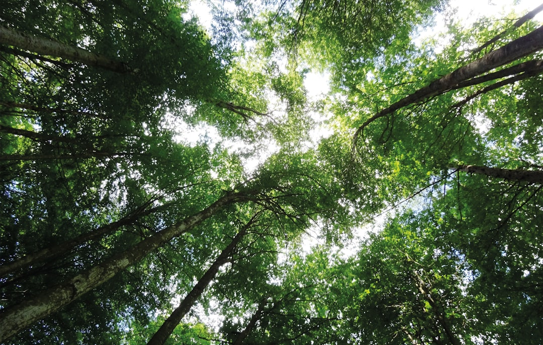 5 Eco-Friendly Travel Gear Brands You Need Now