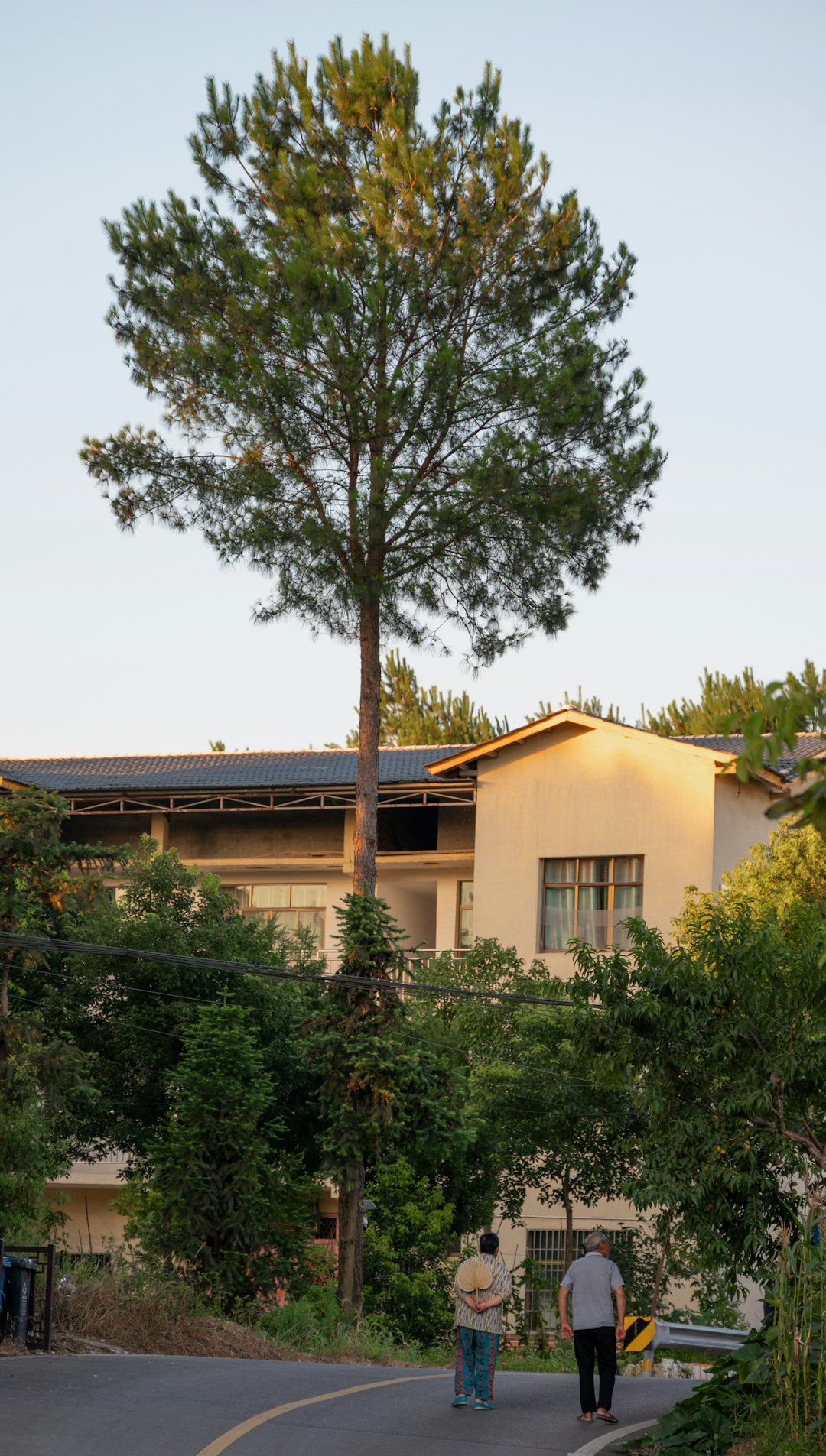 Elon Musk Roof: Solar Shingles vs Traditional Roofing Costs
