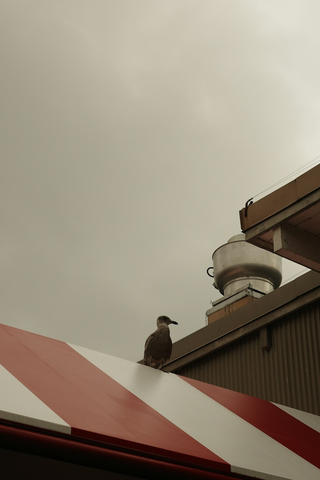 Erie Insurance Roof Claim Guide: Expert Tips for Storm Damage