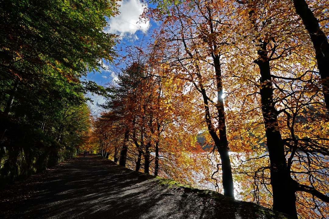 Europe's Fall Rail Magic: Hills, Moors & Coastal Dreams