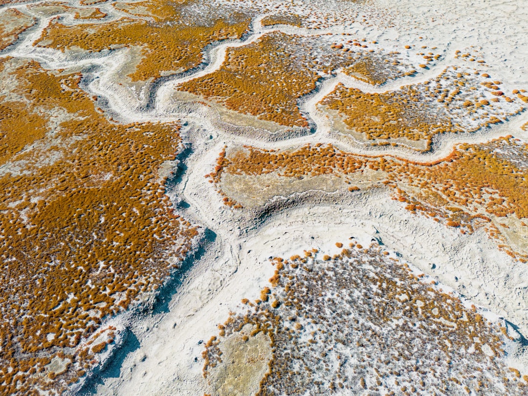 Europe's New Fingerprint Rule: What US Travelers Must Know