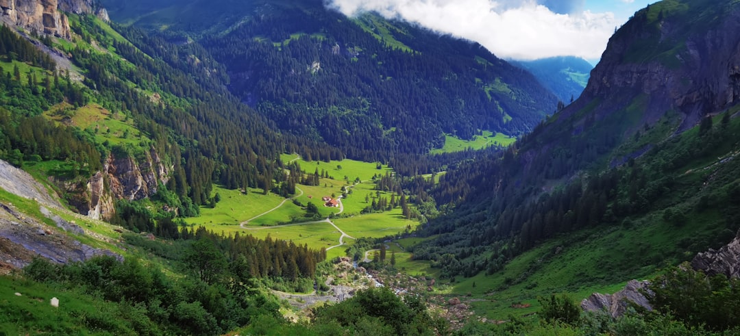 European Travel to US Drops: Study Reveals Sharp Decline