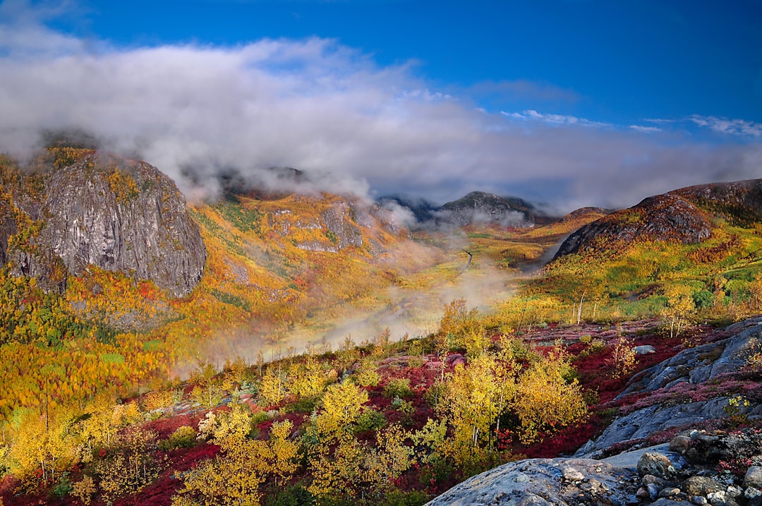 Fall Alaska Travel Adventures: Ultimate Autumn Guide