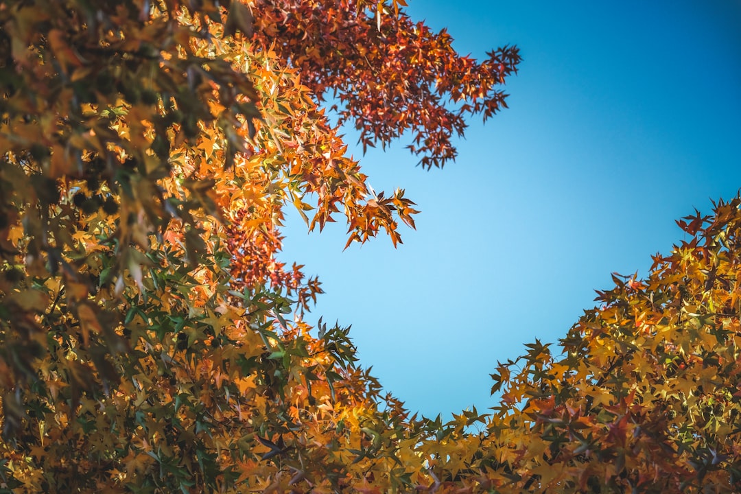 Fall Travel Season: Why Off-Season Is Now Prime Time