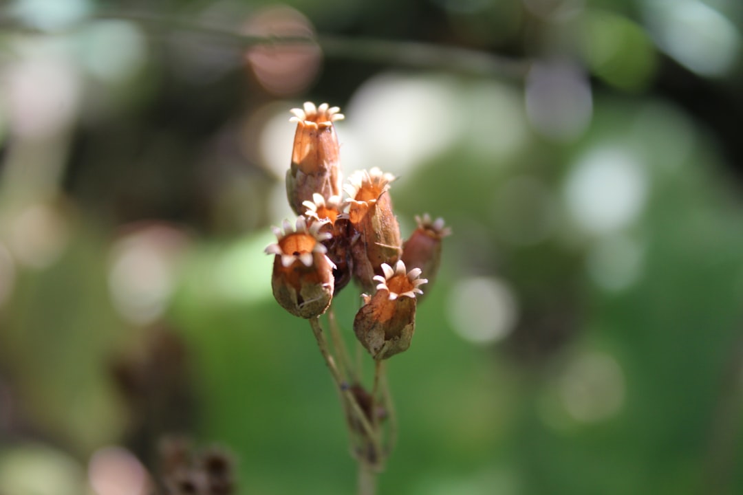 Family Vacation Ideas: Fun Trips & Budget Travel Tips