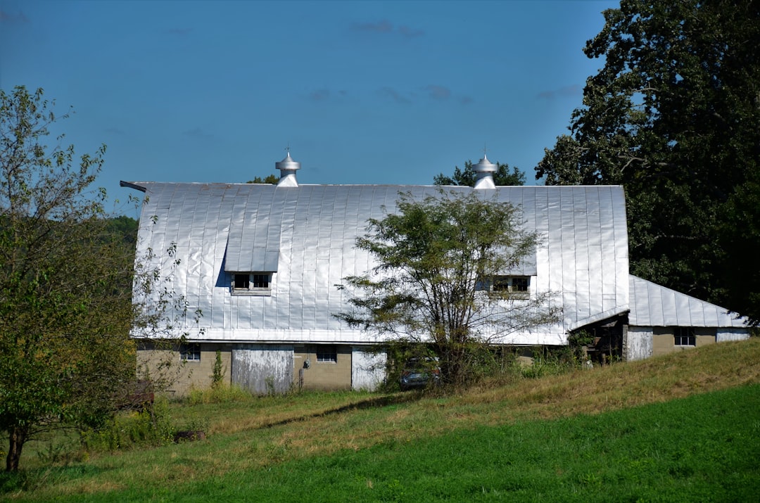 Farmers Roof Claim Guide: Storm Damage & Insurance Process