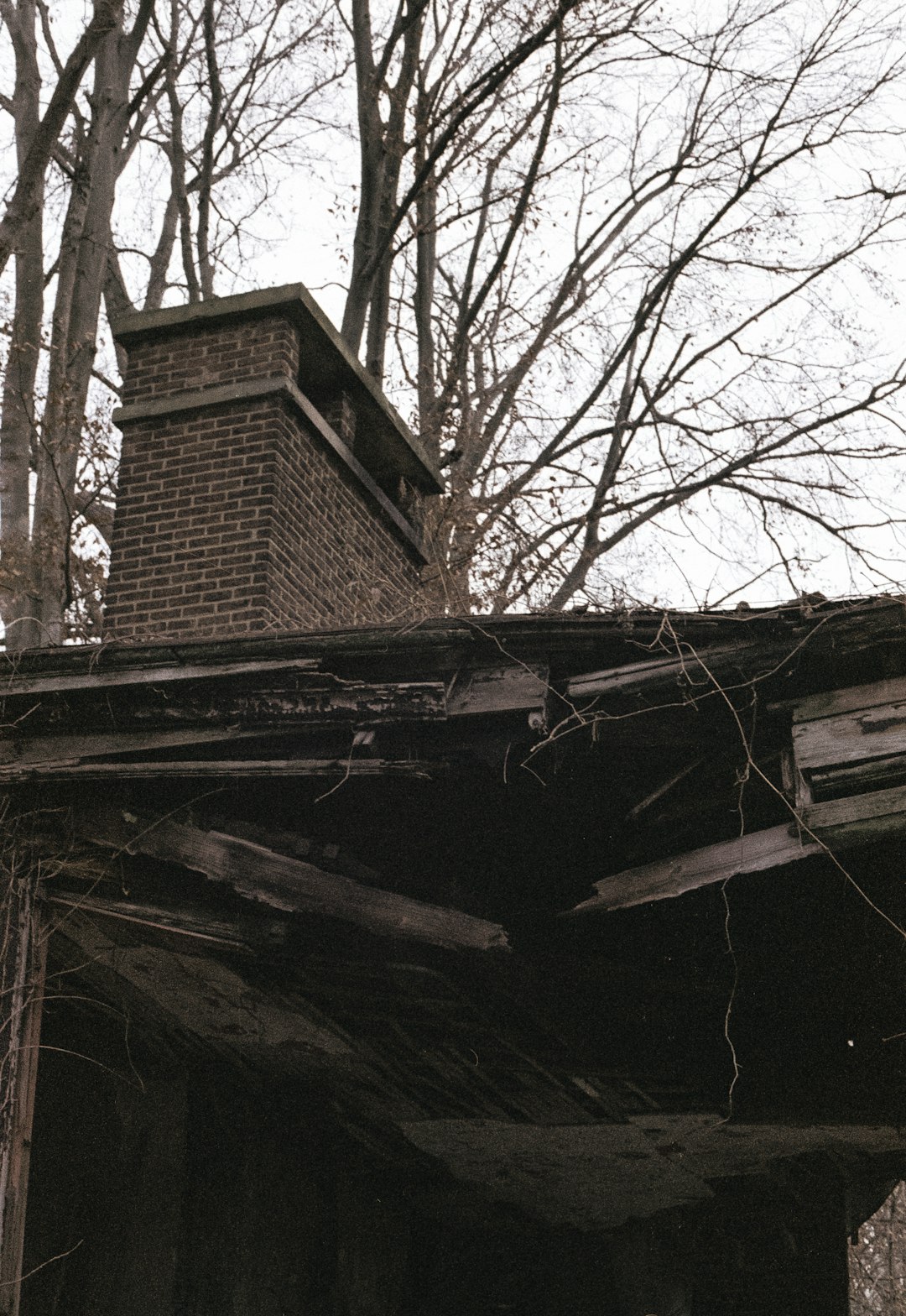 Find Local Roof Repair Experts | Storm Damage & Leak Solutions