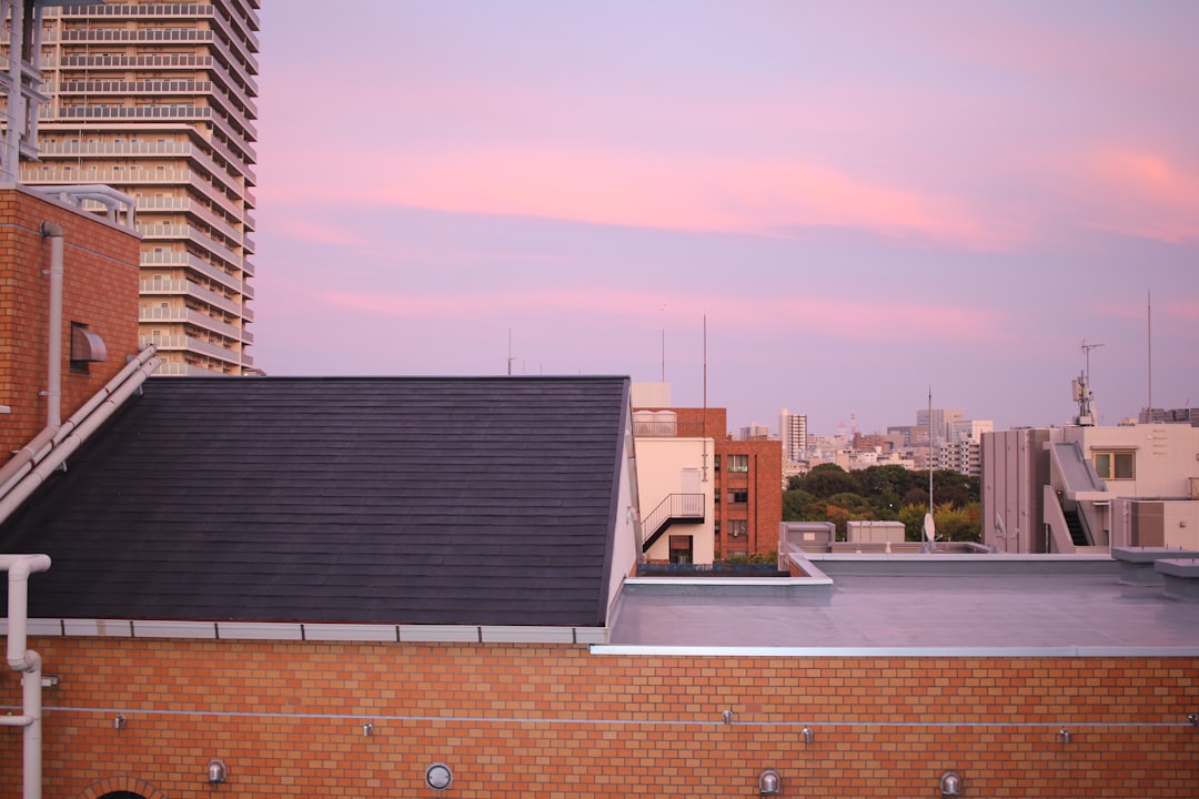 Find Roofers with Financing Near Me: Expert Guide to Affordable Roofing