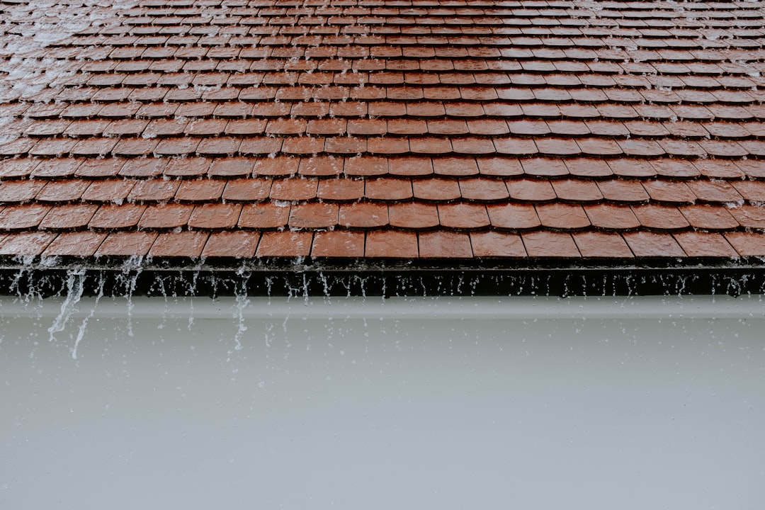 Flat Roof Leak Insurance Claim Guide: Expert Tips & Storm Damage