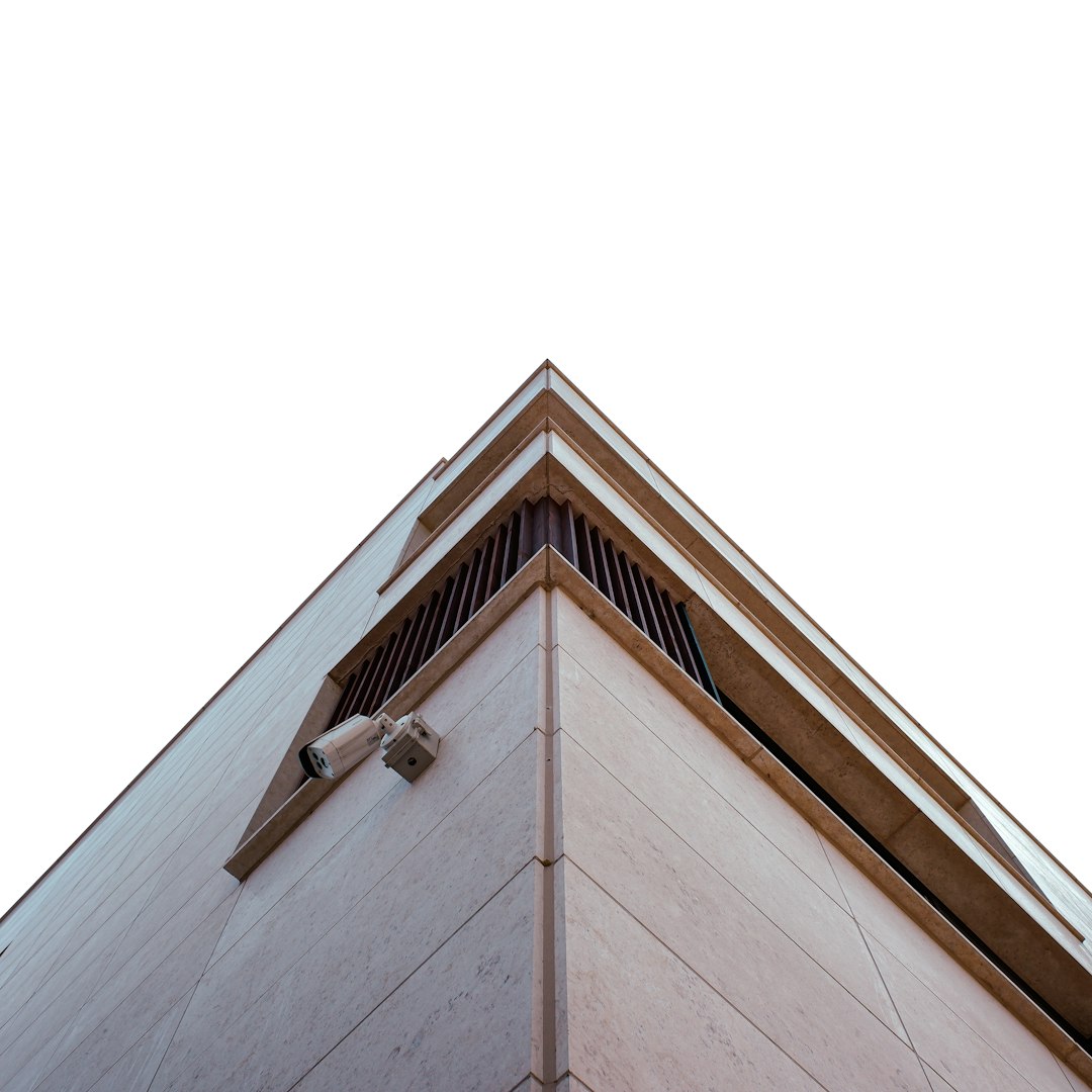 Flat Roof Leaks in Heavy Rain: Repair Guide & Prevention Tips