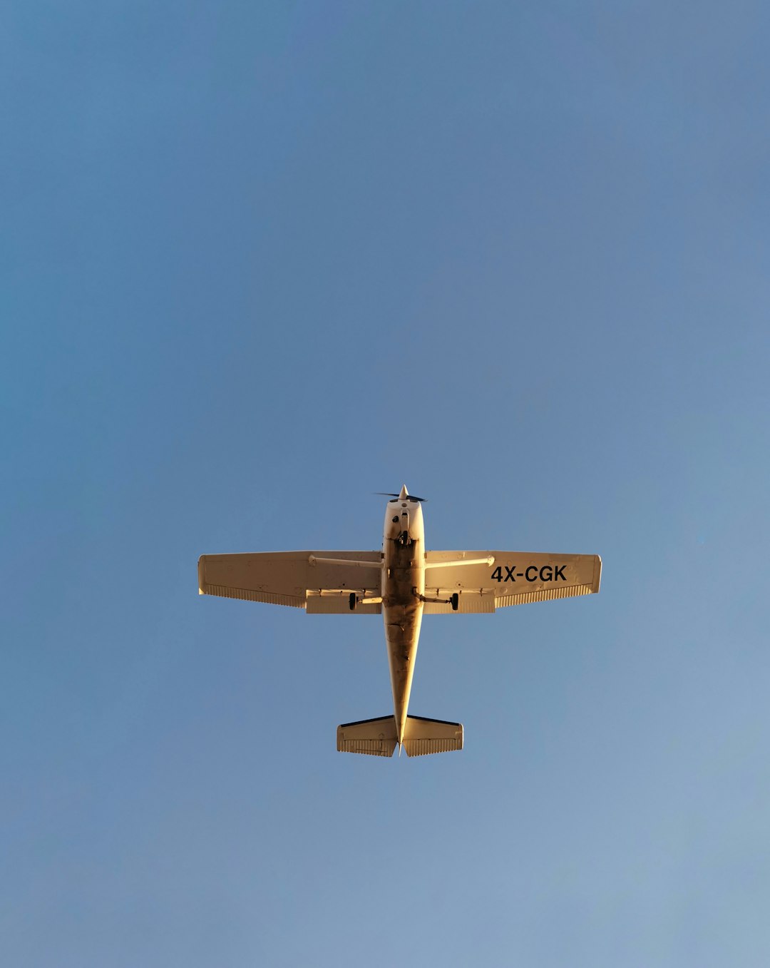 Flight Attendant's 13 Prime Day Travel Deals Under $50