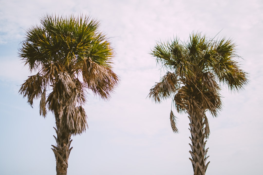 Folly Beach Vacation Rentals: Your SC Coastal Escape Guide & Tips