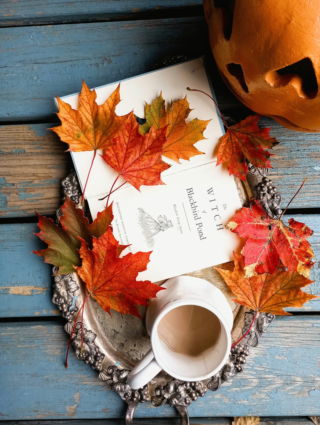 Fool's Gear Book Review & 4 Must-Read Fall Books