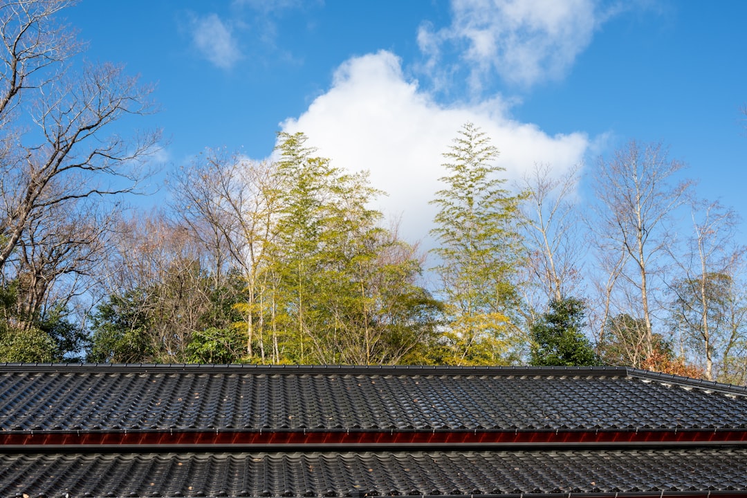 Full Solar Roof Guide: Costs & Installation Process