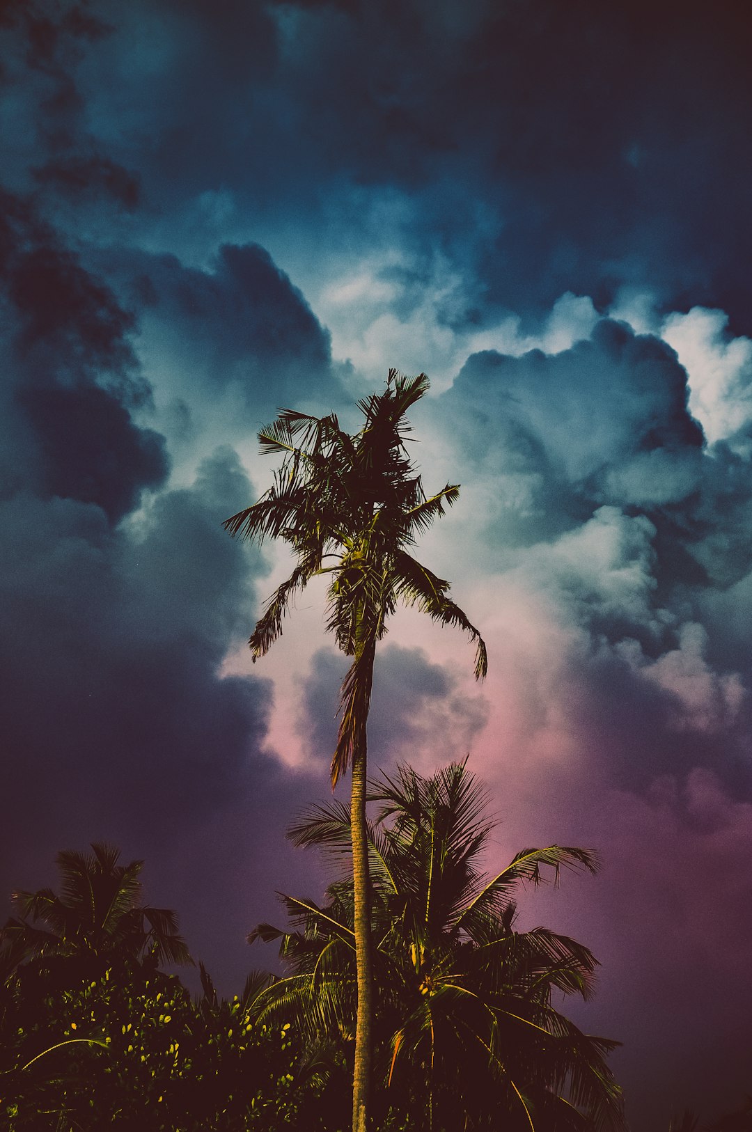 Gabrielle Strengthens: Your Complete Severe Weather Survival Guide