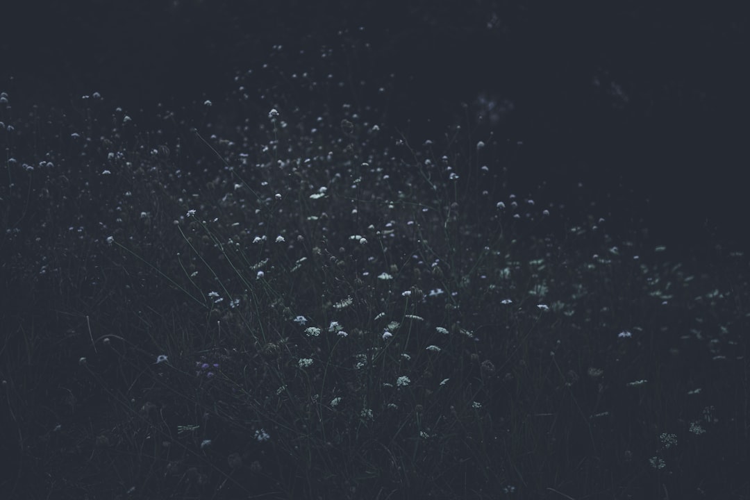 Unlock Your Astrobiology Dreams: 2025 Travel Grant Guide