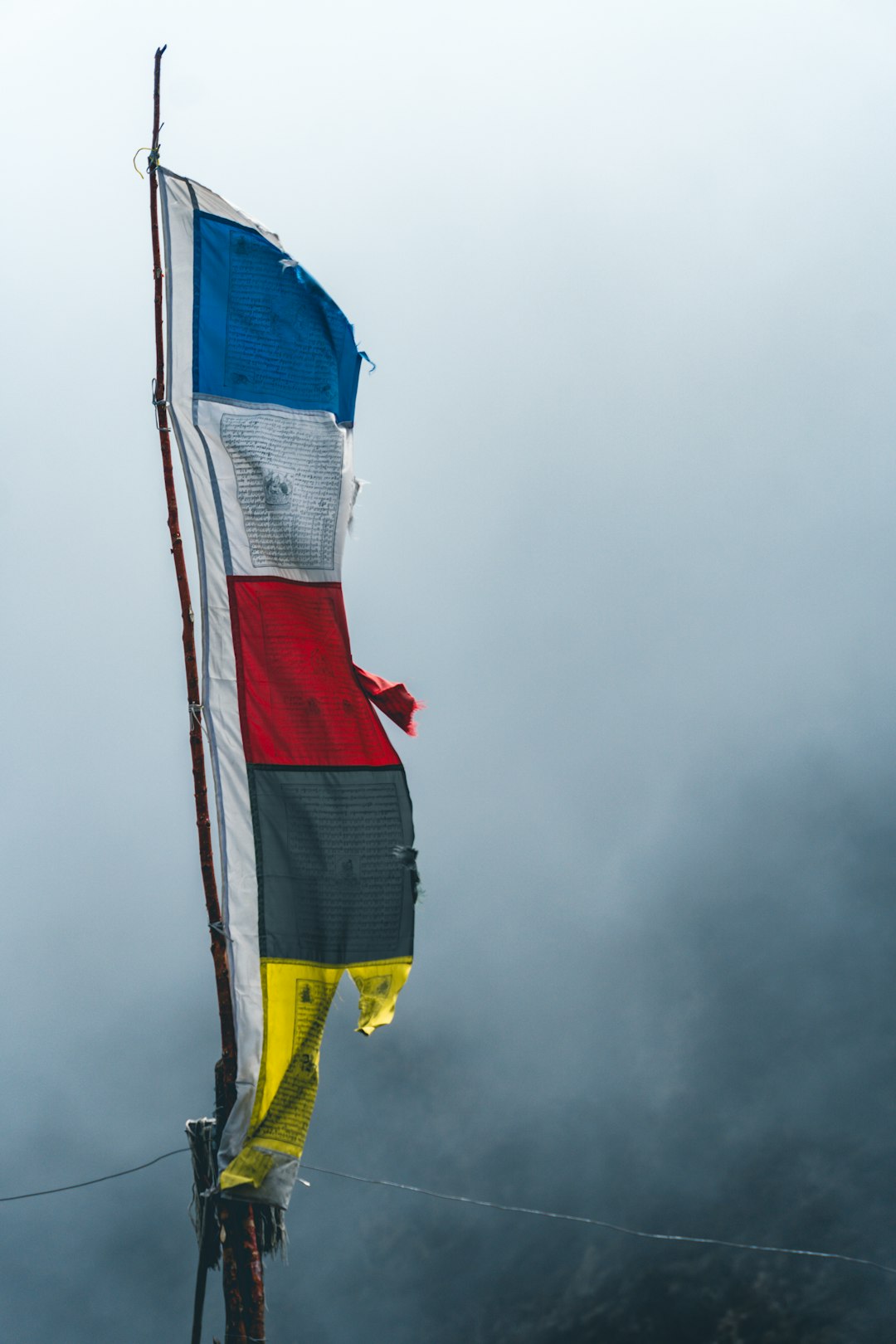 Germany Joins Travel Freeze: US Tourism Faces Historic Collapse